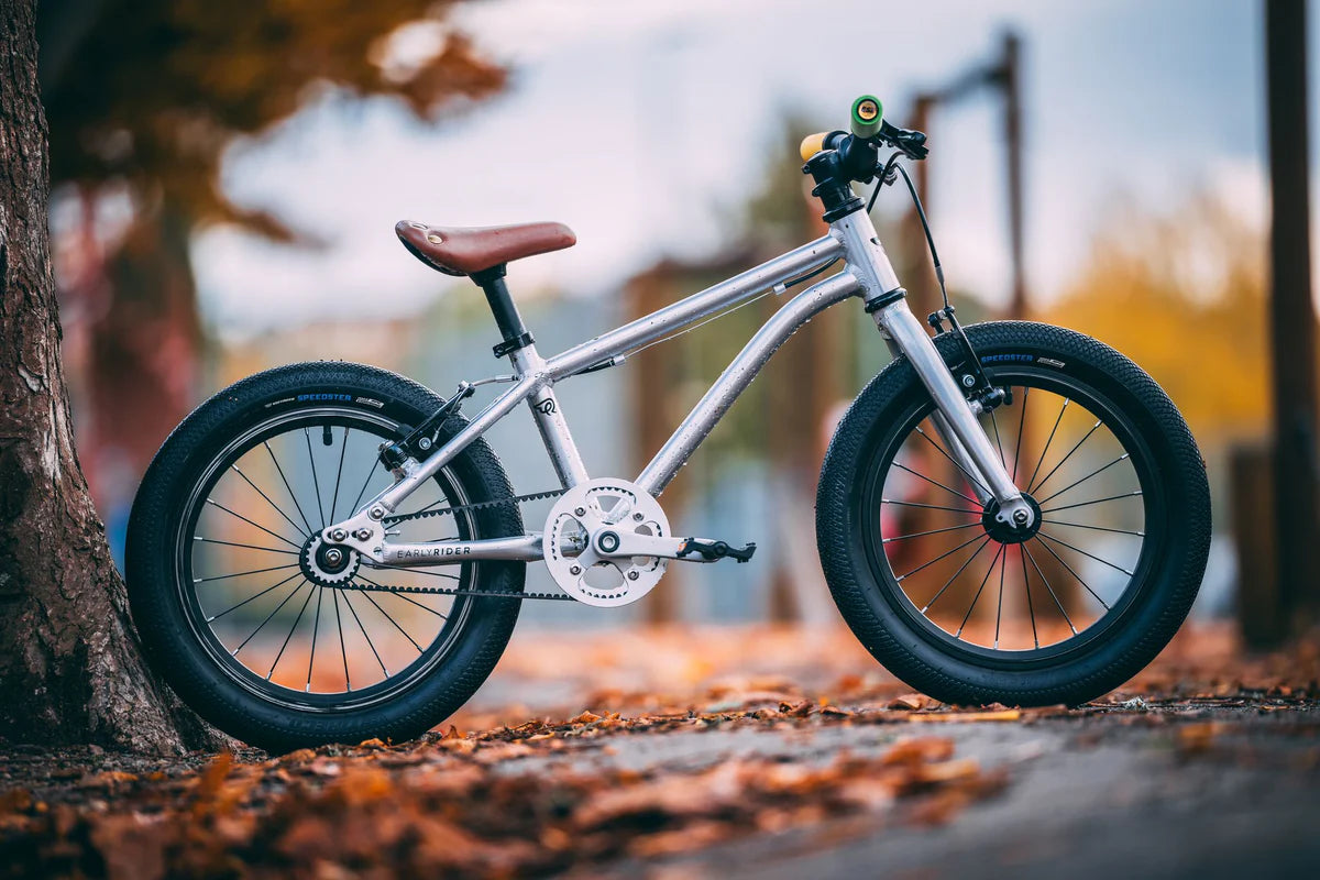 Bicicleta copii EARLY RIDER Belter 16" Brushed Aluminium argintiu aluminiu parc toamna ploaie