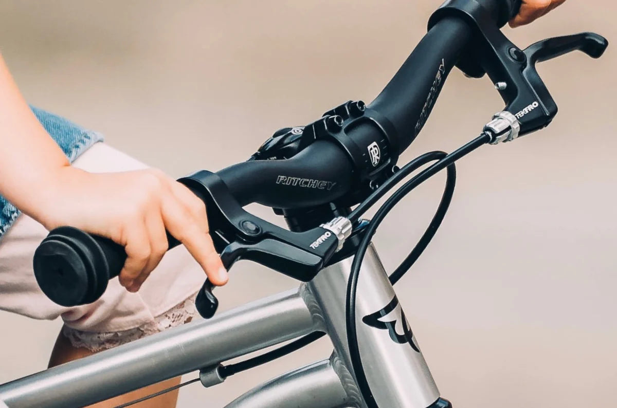 Bicicleta copii EARLY RIDER Belter 16" Brushed Aluminium argintiu aluminiu ghidon ritchey frane tektro