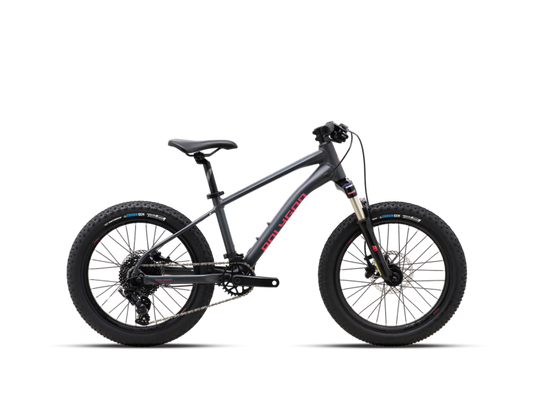 bicicleta copii Polygon xtrada 20 charcoal gri lateral