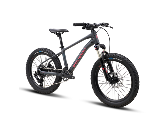 bicicleta copii Polygon xtrada 20 charcoal gri fata