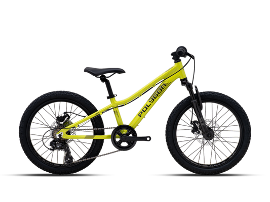 bicicleta copii Polygon Relic 20 green verde hardtail frane disc lateral