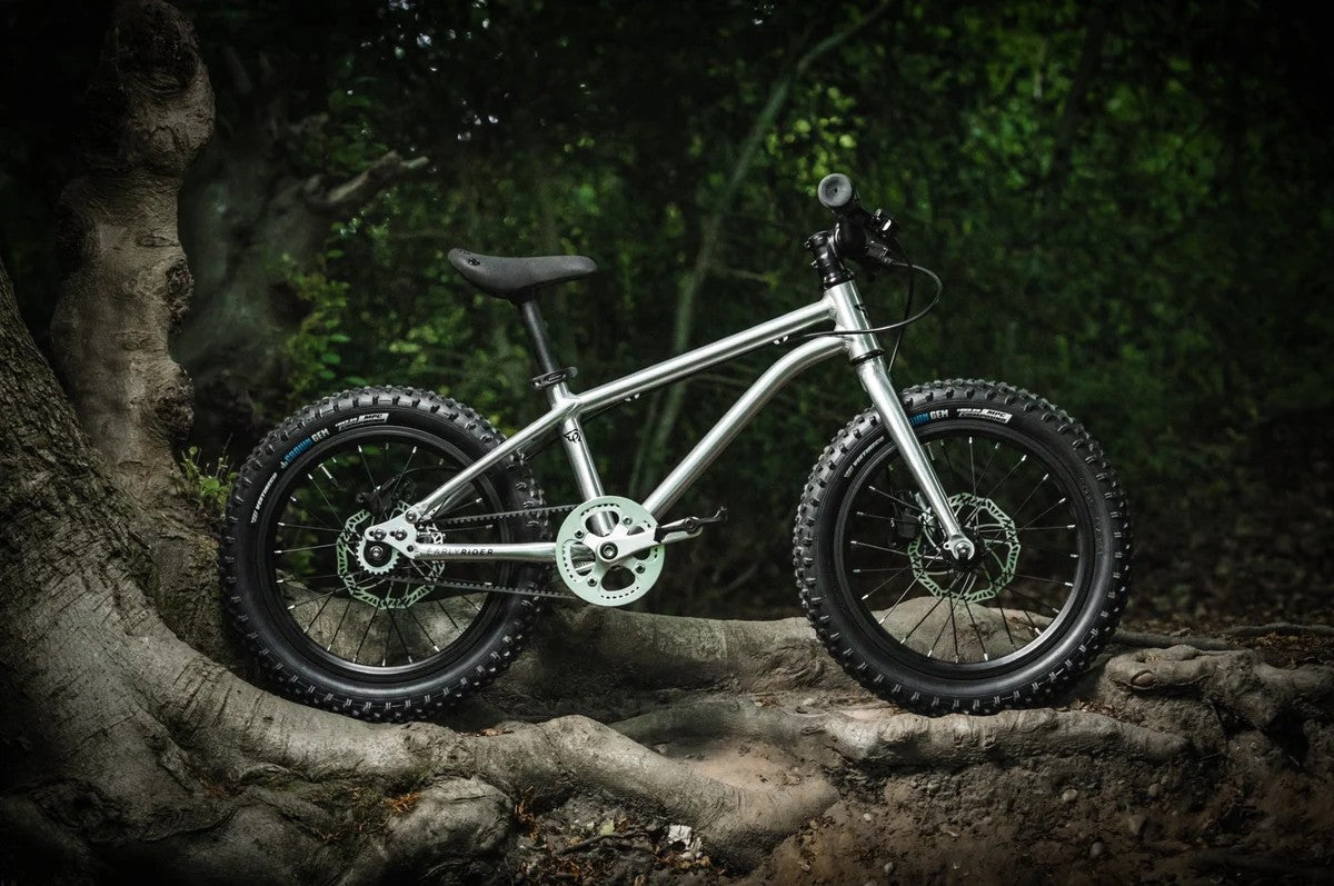 Cât costă o bicicletă premium pentru copii și ce primești în plus față de modelele obișnuite?