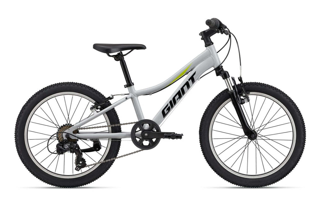Bicicleta copii GIANT XtC Jr 20" Gray